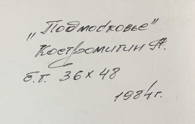 Костромитин Андрей Николаевич. Подмосковье